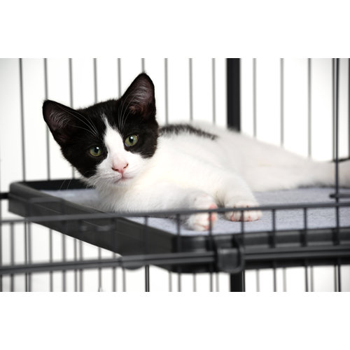 Tucker Murphy Pet™ Coppage Replacement Platform Shelf for Cat Cages